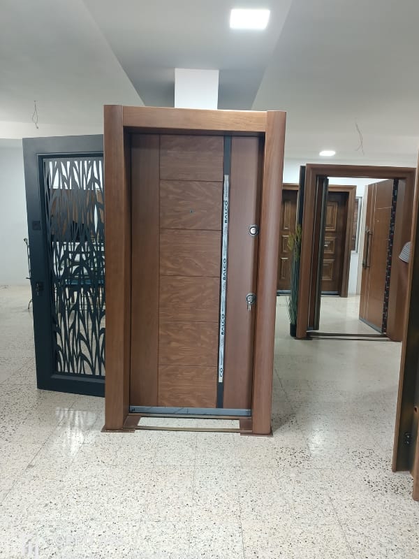 Porte Blindée HG -FERO-02